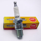 D10EA  NGK Spark Plug